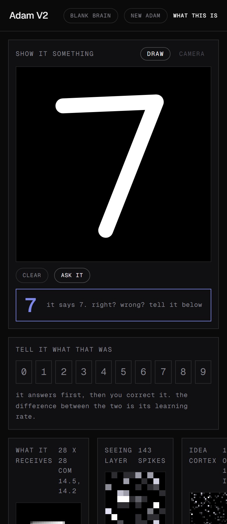 Adam V2 running in a browser: a hand-drawn digit, the network's answer, and the cortex map of glowing clusters